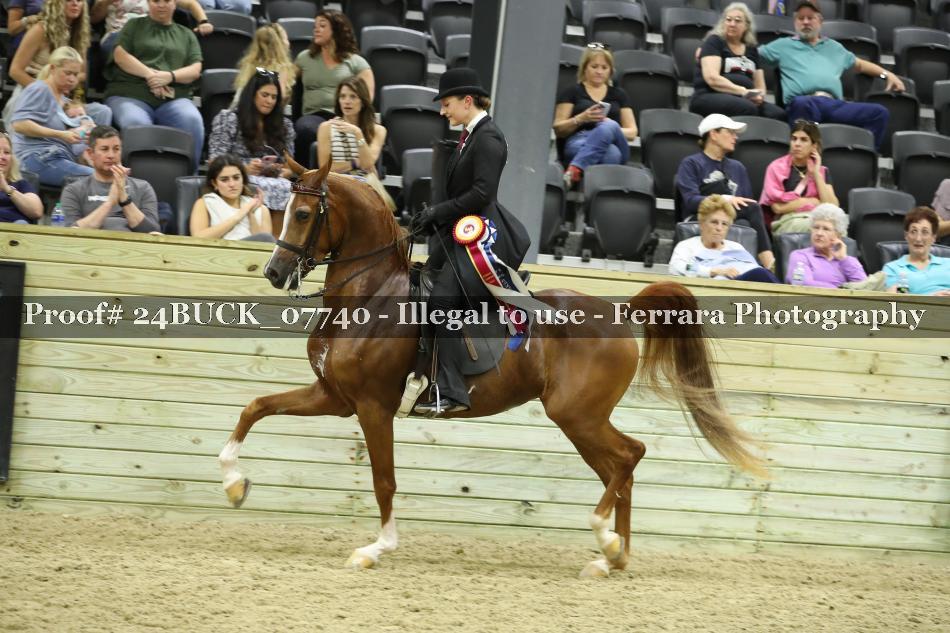 Proof 24BUCK_07740
