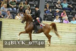 24BUCK_07740 proof