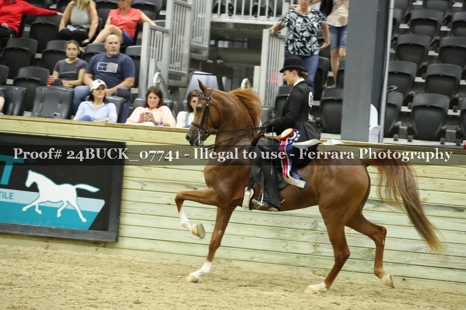 Proof 24BUCK_07741