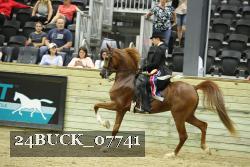24BUCK_07741 proof