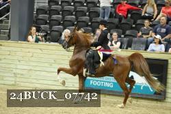 24BUCK_07742 proof
