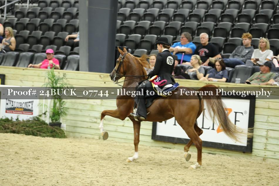 Proof 24BUCK_07744