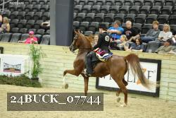 24BUCK_07744 proof