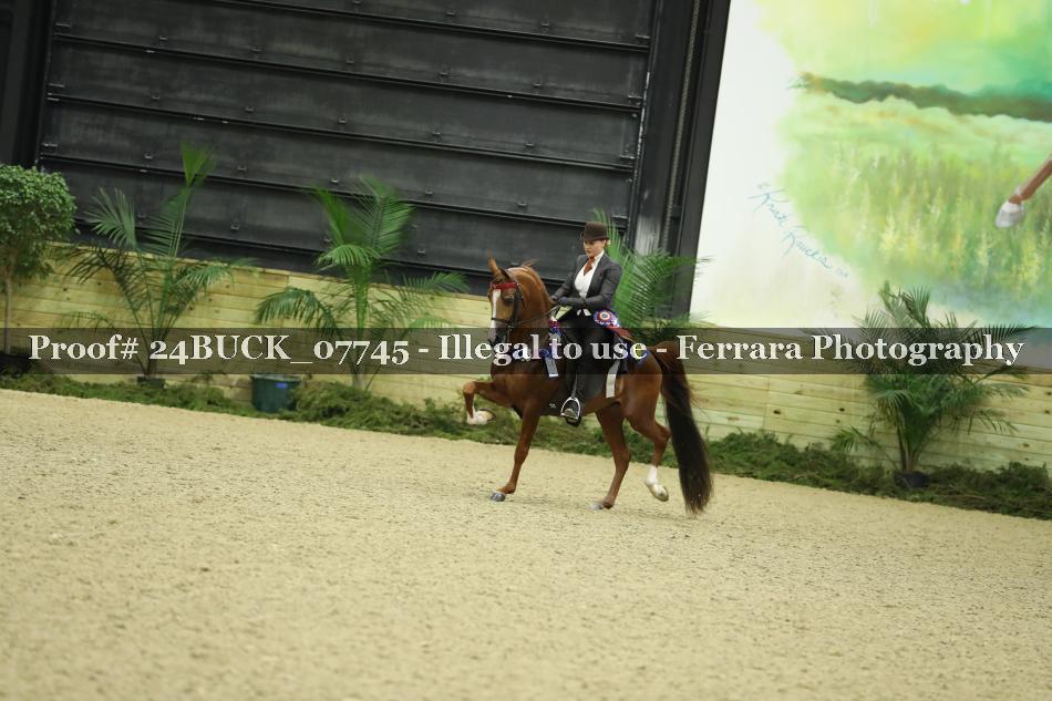 Proof 24BUCK_07745
