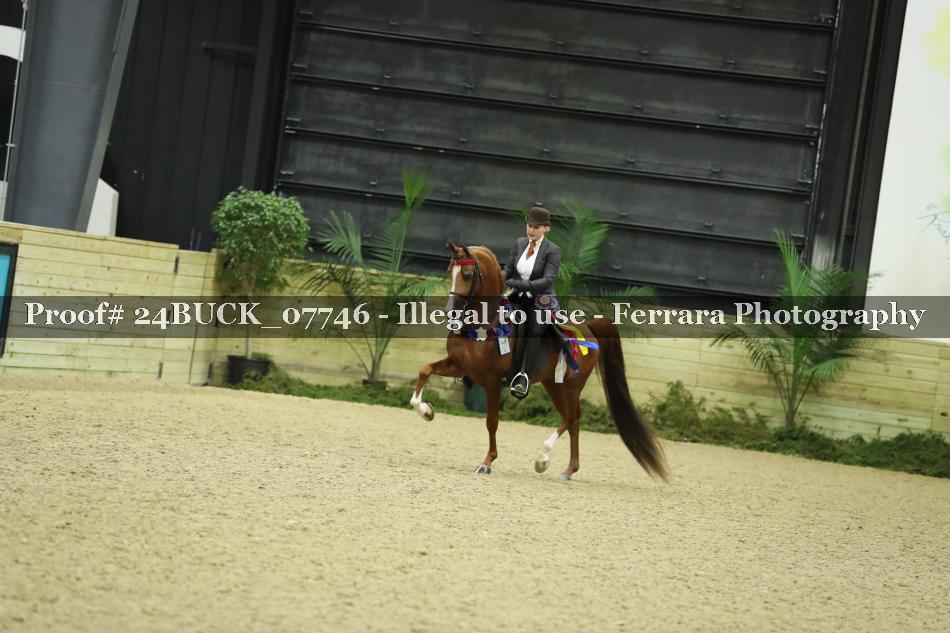 Proof 24BUCK_07746
