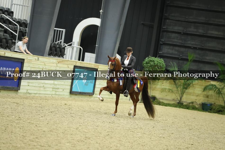 Proof 24BUCK_07747