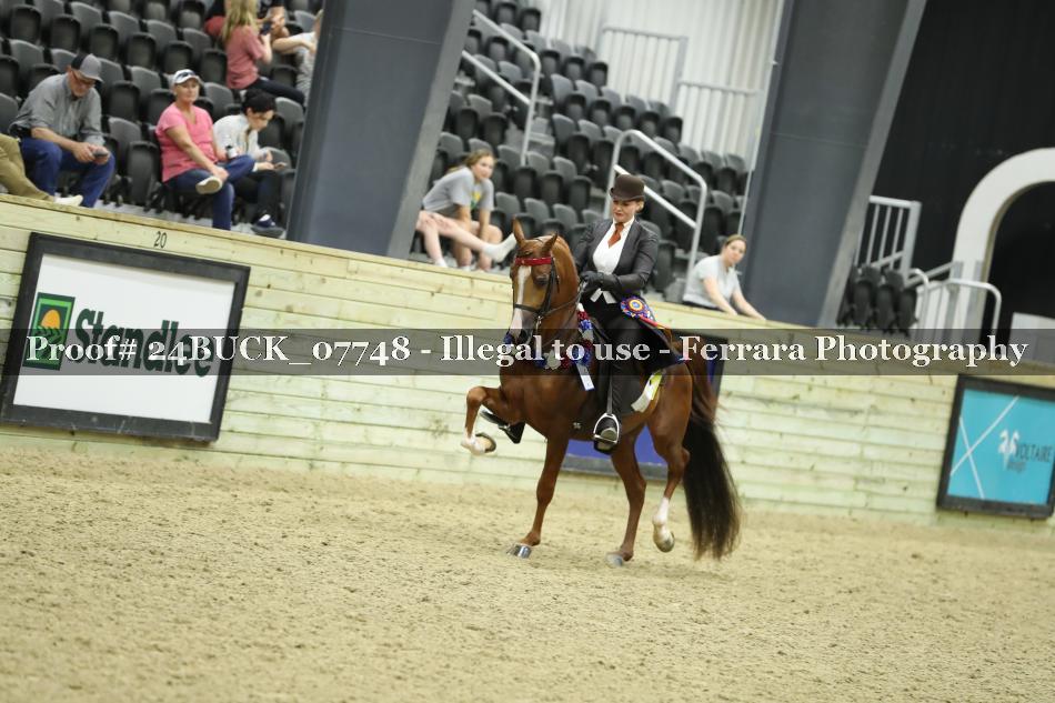 Proof 24BUCK_07748