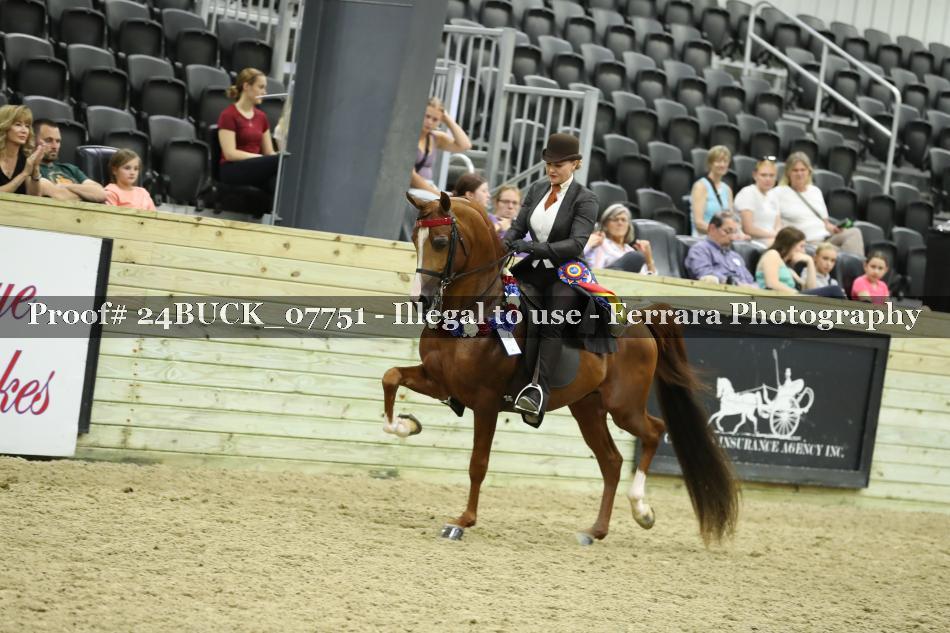 Proof 24BUCK_07751