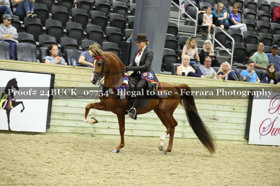 Proof 24BUCK_07754