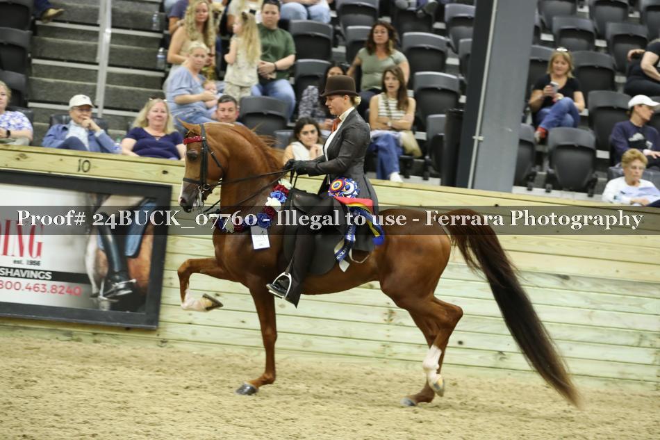 Proof 24BUCK_07760