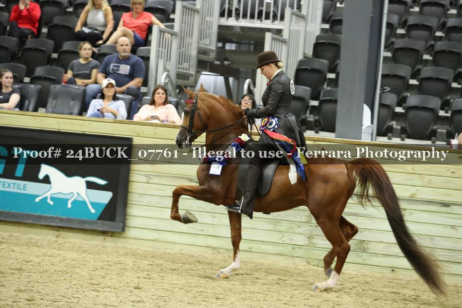Proof 24BUCK_07761