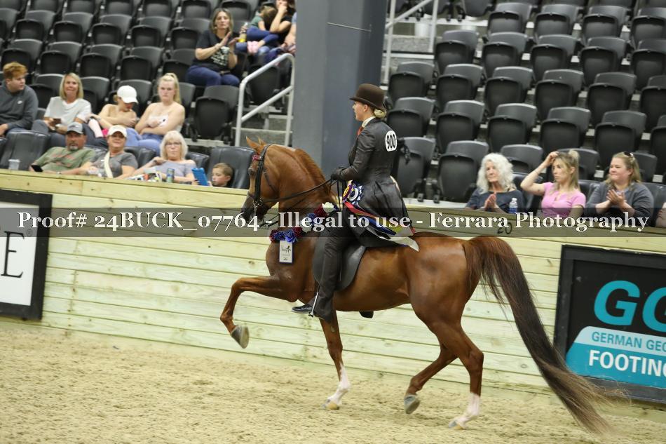 Proof 24BUCK_07764