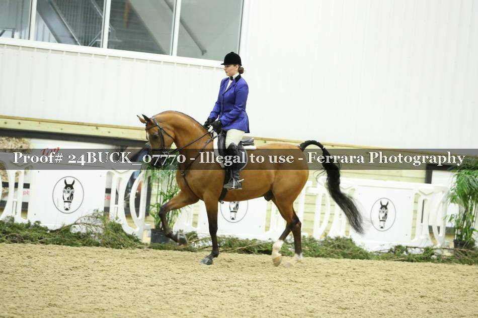 Proof 24BUCK_07770