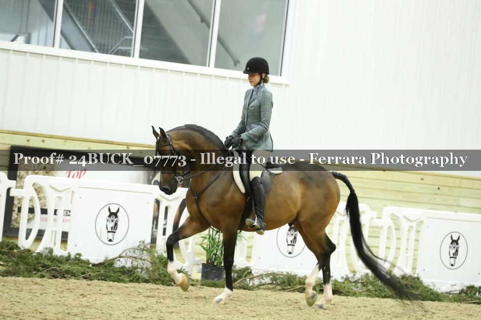 Proof 24BUCK_07773