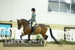 24BUCK_07774 proof
