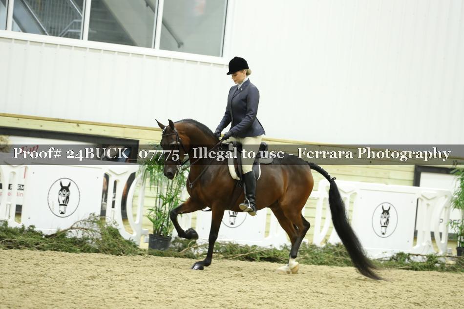 Proof 24BUCK_07775