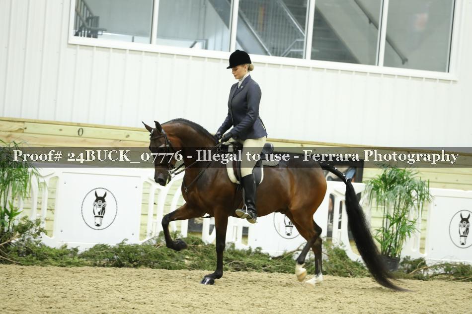 Proof 24BUCK_07776