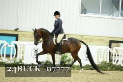 24BUCK_07777 proof