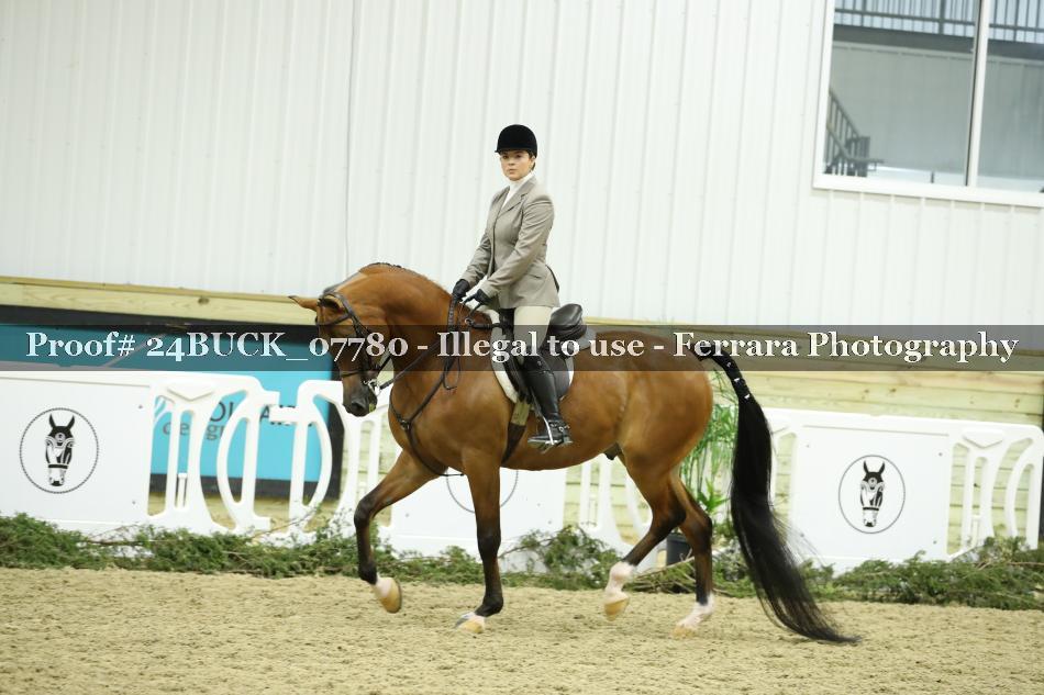 Proof 24BUCK_07780