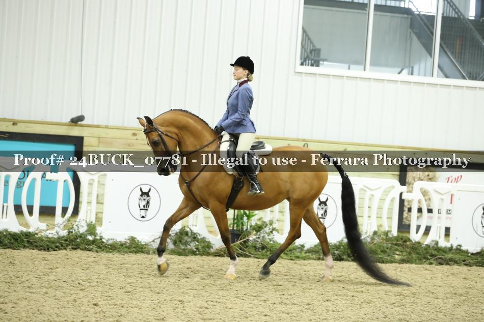 Proof 24BUCK_07781