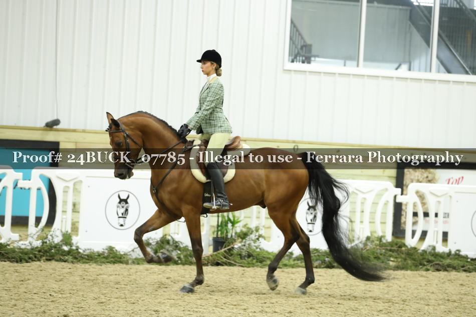 Proof 24BUCK_07785