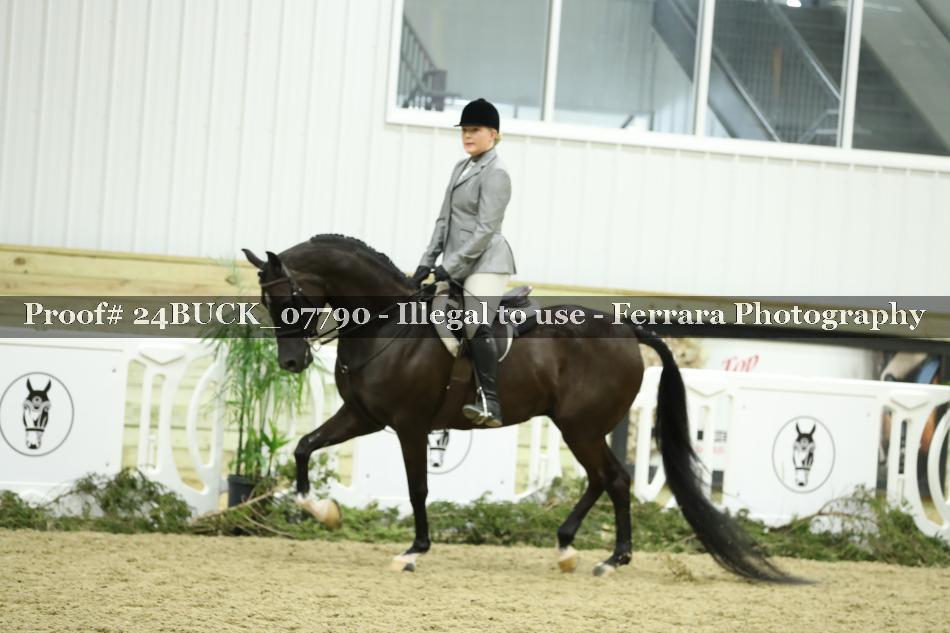 Proof 24BUCK_07790