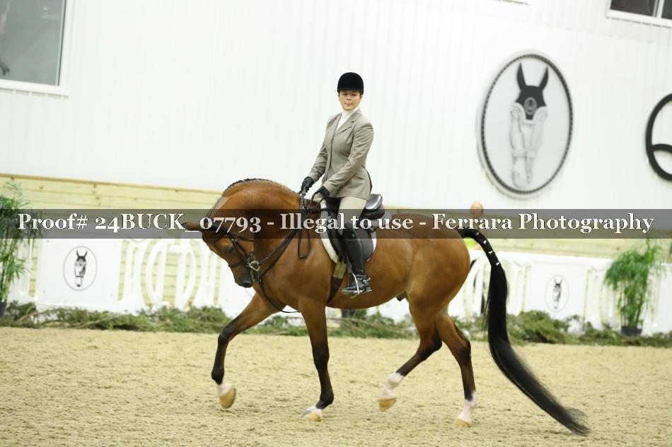 Proof 24BUCK_07793