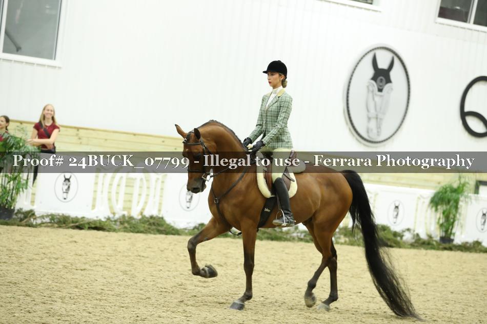 Proof 24BUCK_07799