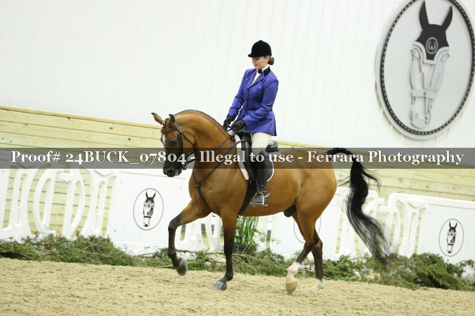 Proof 24BUCK_07804