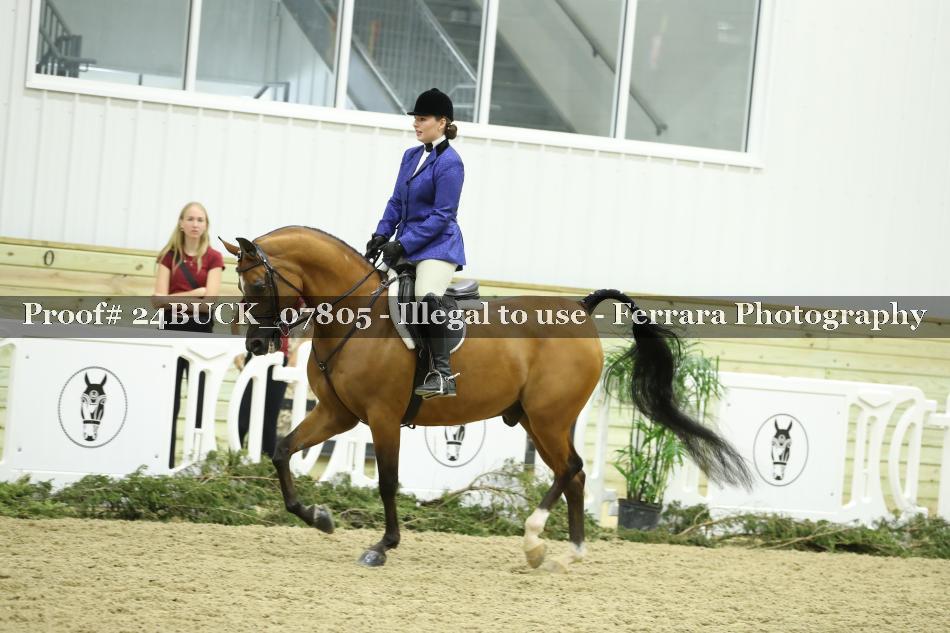 Proof 24BUCK_07805