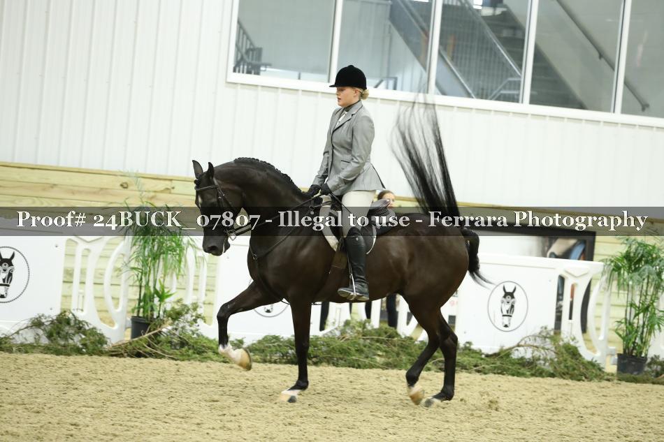 Proof 24BUCK_07807