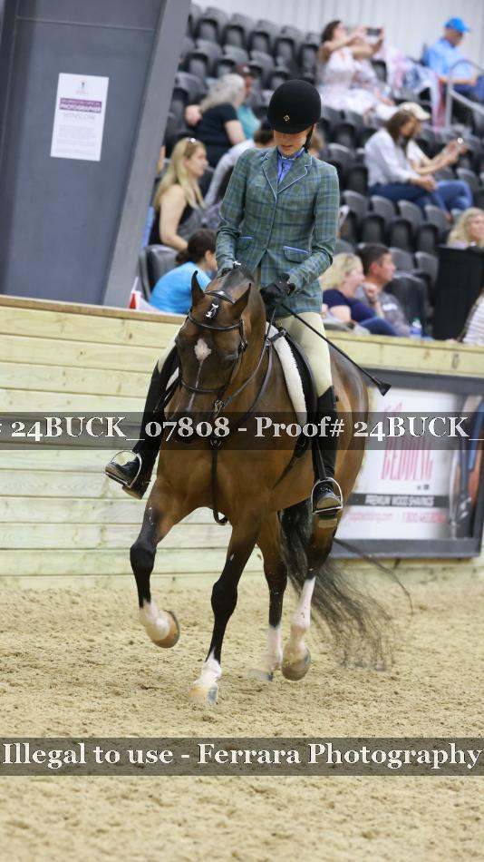 Proof 24BUCK_07808