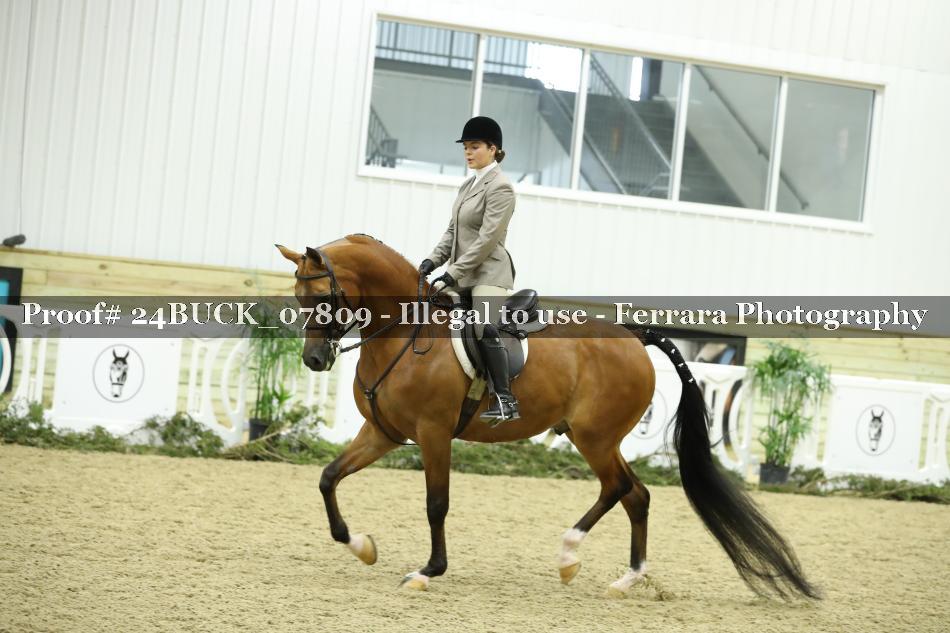 Proof 24BUCK_07809