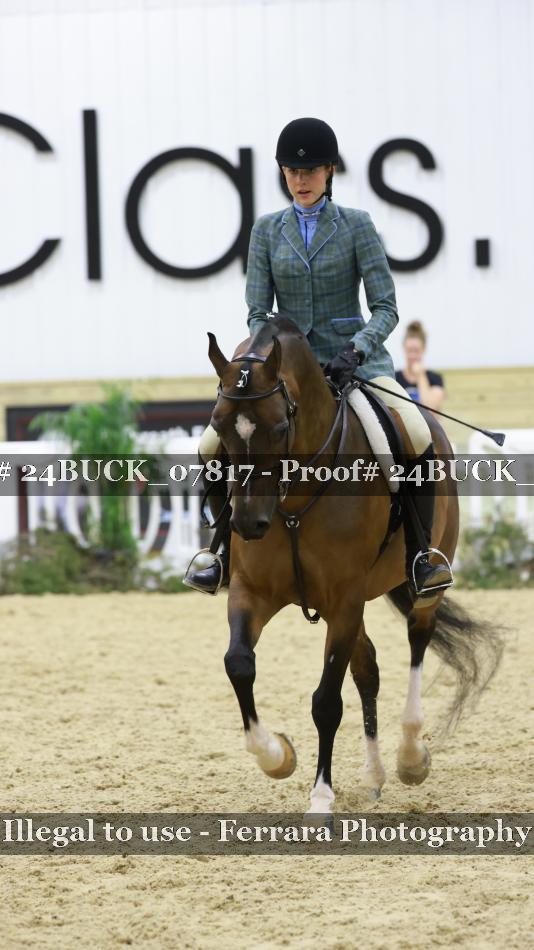 Proof 24BUCK_07817