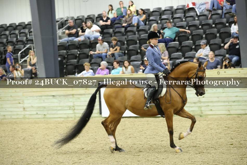 Proof 24BUCK_07827