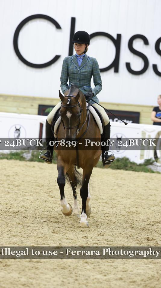 Proof 24BUCK_07839