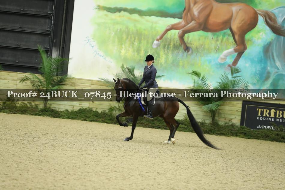 Proof 24BUCK_07845