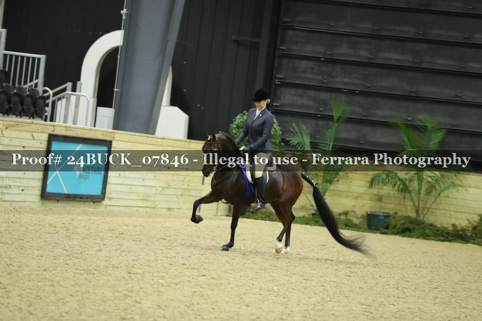 Proof 24BUCK_07846