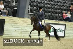 24BUCK_07847 proof