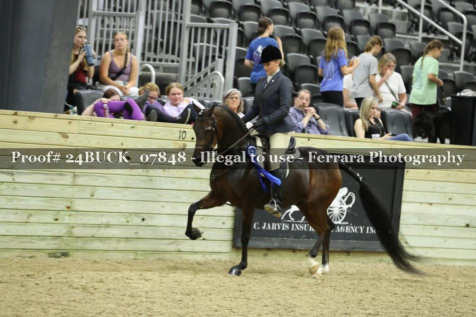 Proof 24BUCK_07848