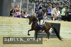 24BUCK_07848 proof