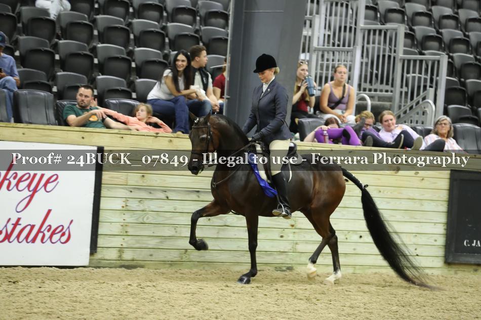 Proof 24BUCK_07849