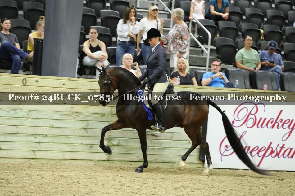 Proof 24BUCK_07851