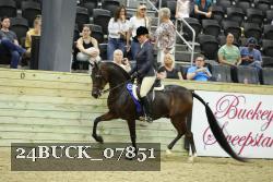 24BUCK_07851 proof