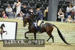 24BUCK_07852 proof