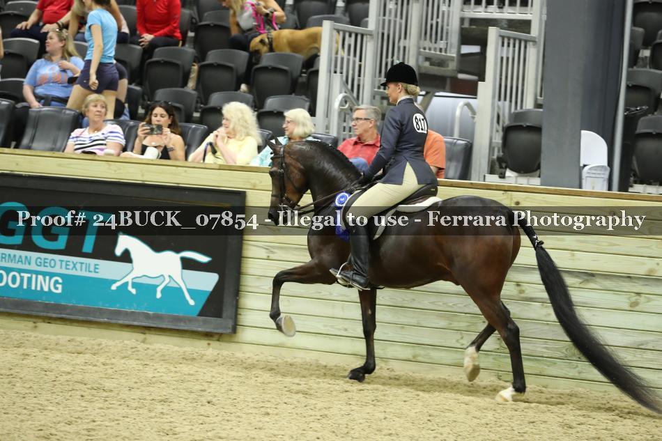Proof 24BUCK_07854