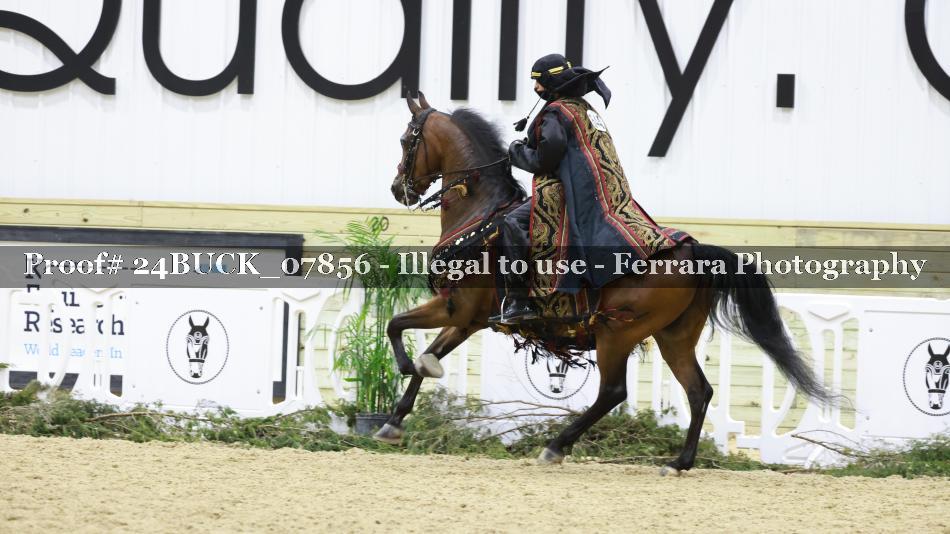 Proof 24BUCK_07856