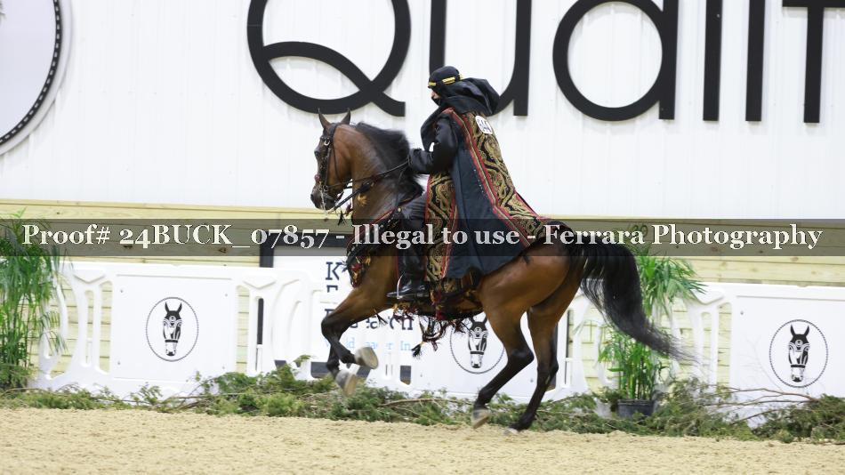 Proof 24BUCK_07857