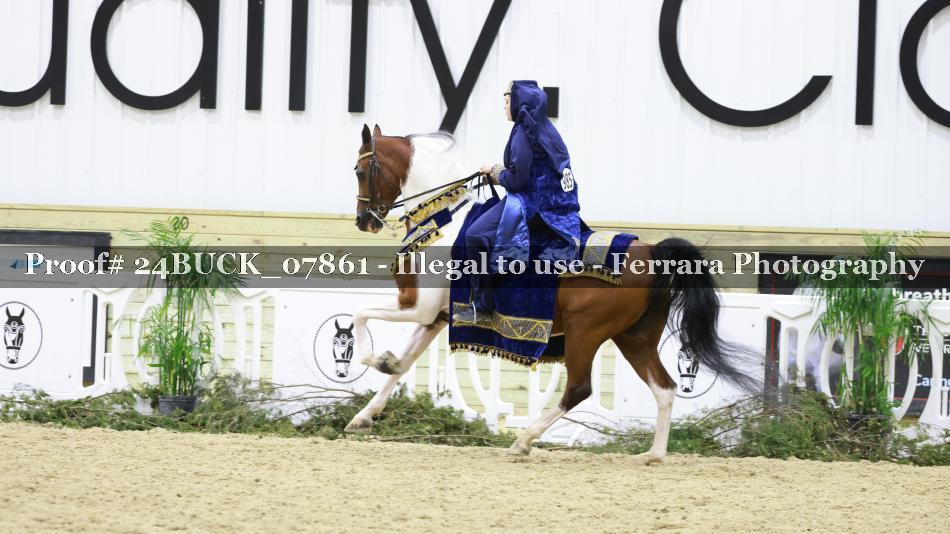 Proof 24BUCK_07861