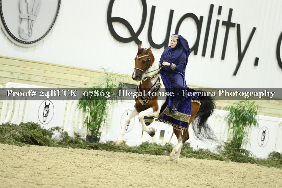 Proof 24BUCK_07863